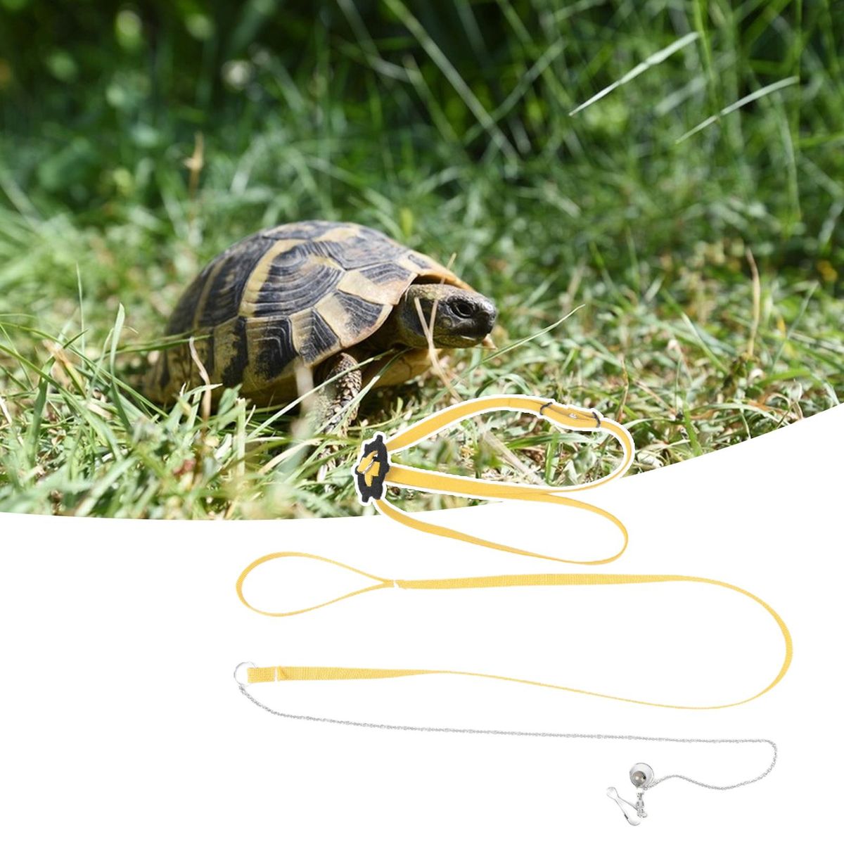 Tortoise Traction Rope Pet Harness Reptile Leash Turtle Lizard Traction Rope Yellow