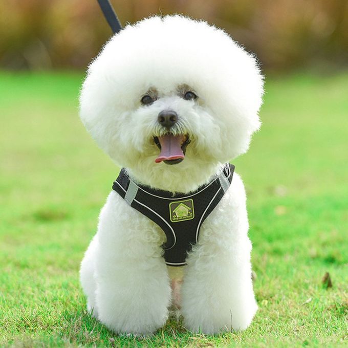 Nylon Mesh  At Harness Refle Tive Dog Vest Harness & Leash Set For Walking-black-S