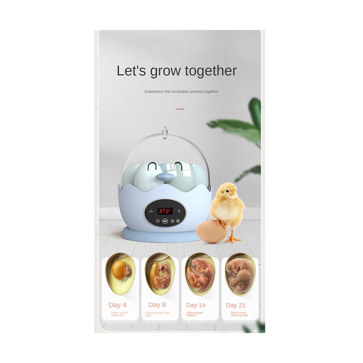 7 Eggs Household Incubator Smart Incubator Small H