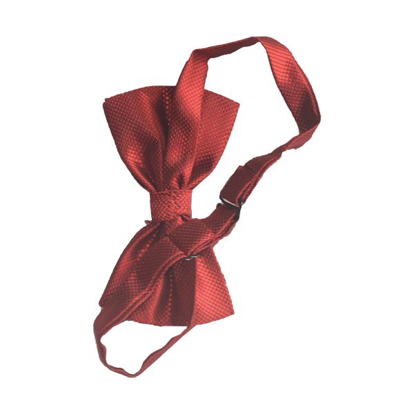 Men's Classic  Bow Tie -Wine