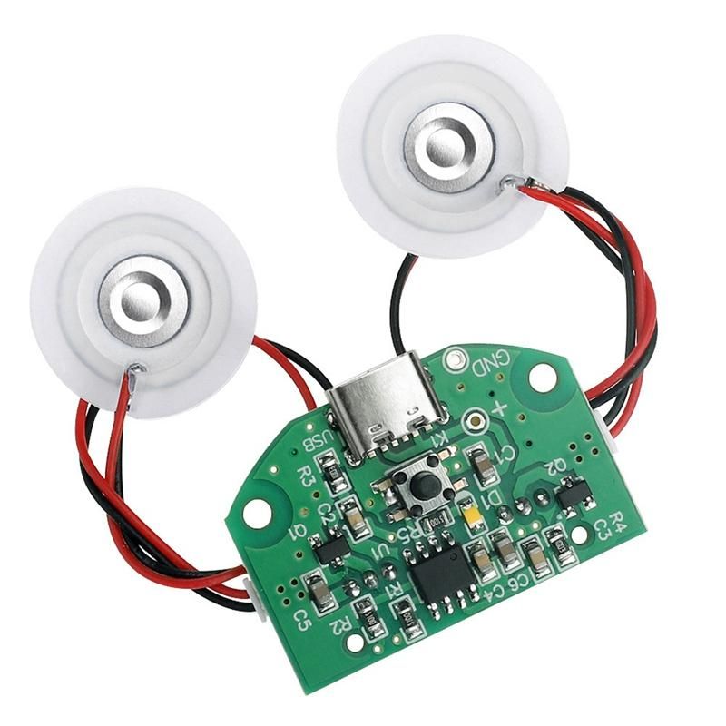 Dual Spray Atomization Module USB Humidifier