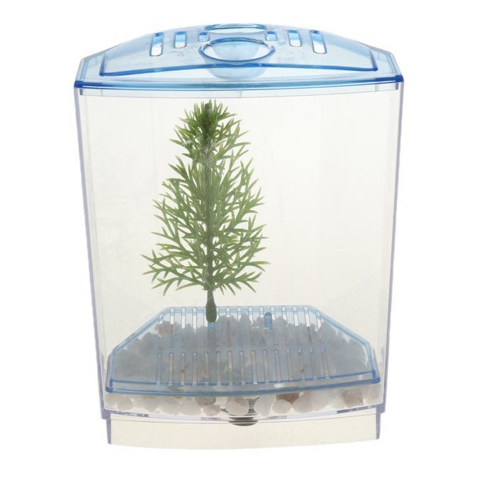 Betta Mini Tank Breeding Box Transparent Plastic Small Box For #2