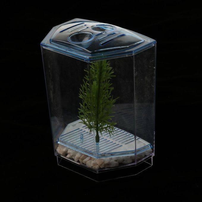 Betta Mini Tank Breeding Box Transparent Plastic Small Box For #2