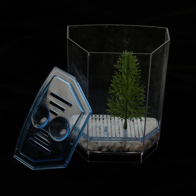 Betta Mini Tank Breeding Box Transparent Plastic Small Box For #2