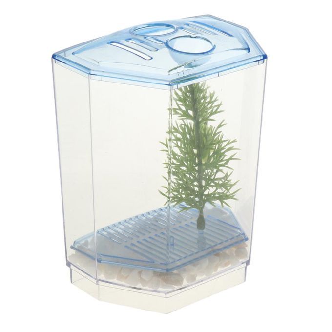 Betta Mini Tank Breeding Box Transparent Plastic Small Box For #2