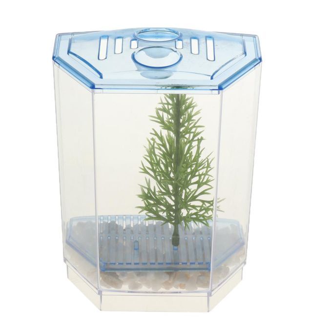 Betta Mini Tank Breeding Box Transparent Plastic Small Box For #2