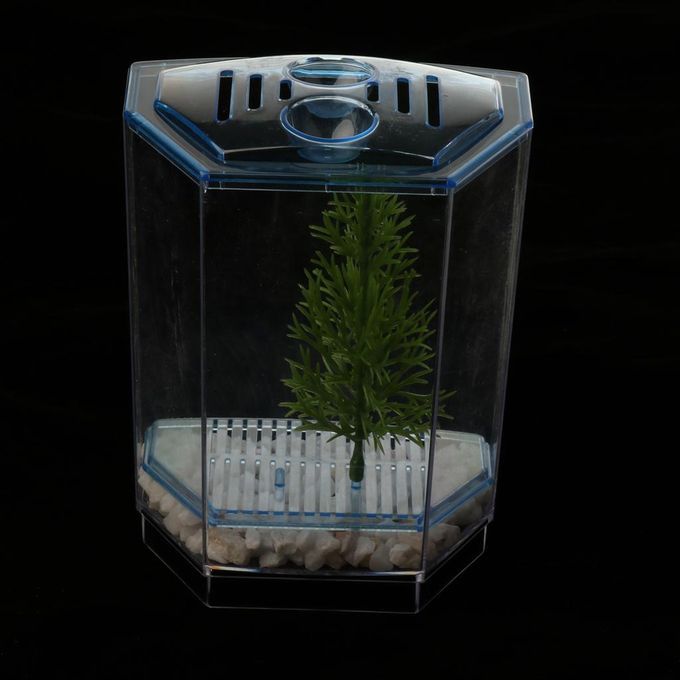 Betta Mini Tank Breeding Box Transparent Plastic Small Box For #2