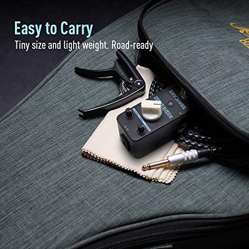SONICAKE Delay Pedal AnalogStyle Delay Guitar Pedal Hybrid D
