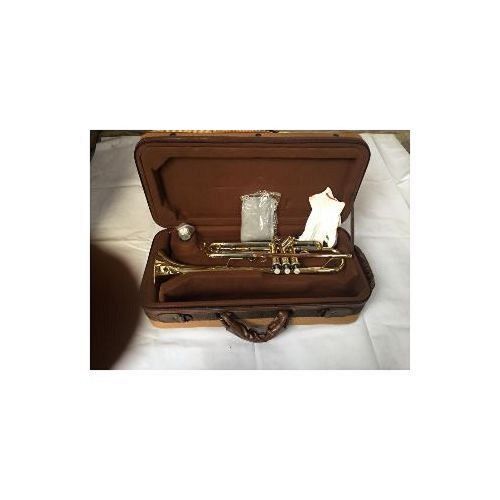 Professional Trumpet - Gold