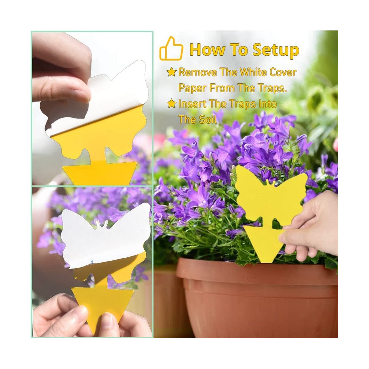 100PCS Sticky Fruit Fly Trap,A