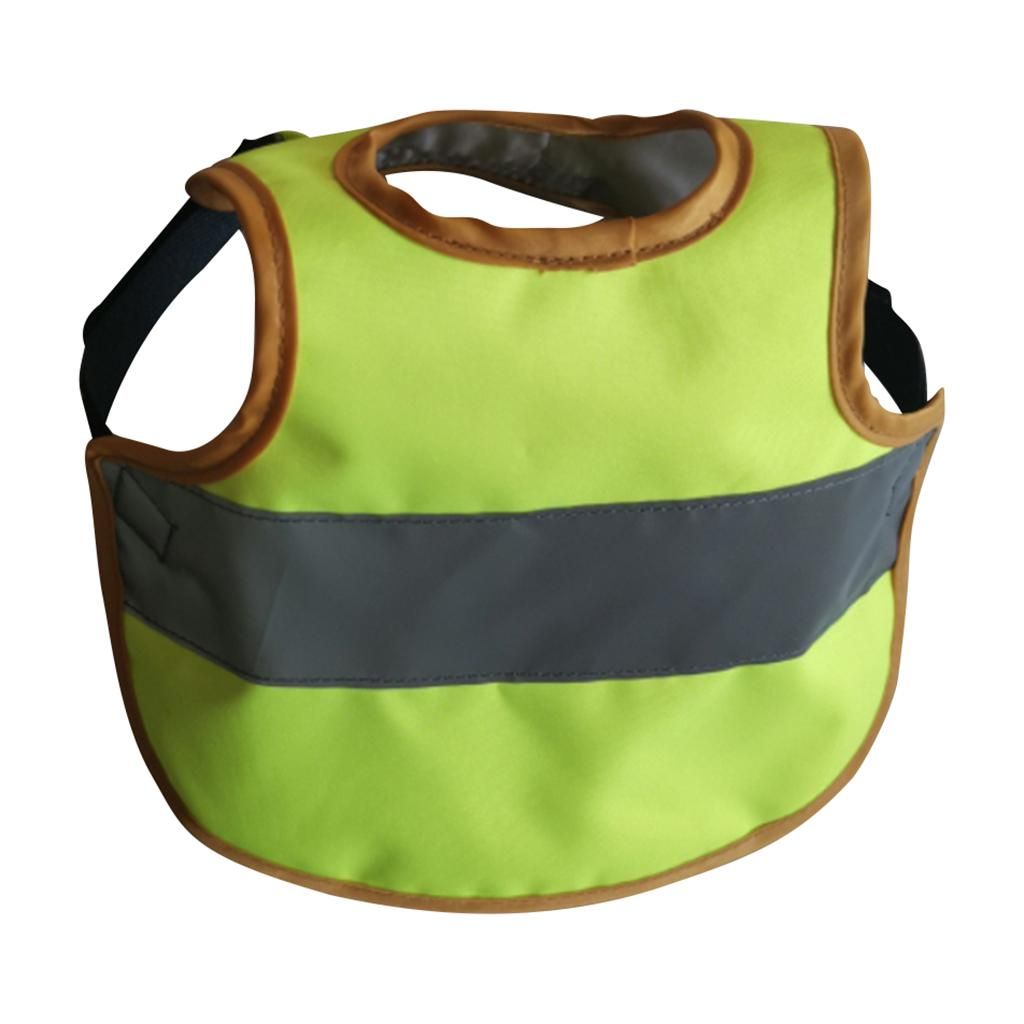 Set Of 3   Vest Chicken  Hen Saddle For  Hen