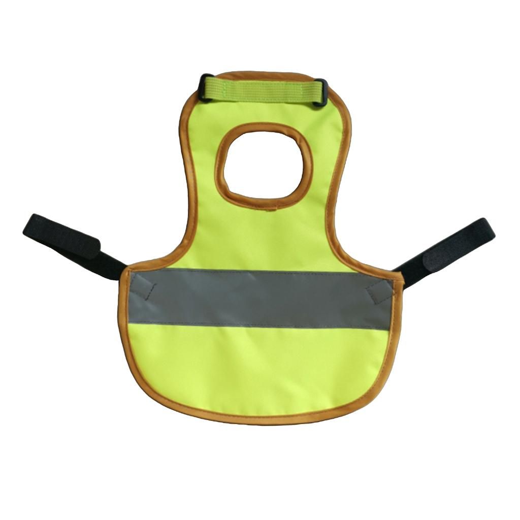 Set Of 3   Vest Chicken  Hen Saddle For  Hen