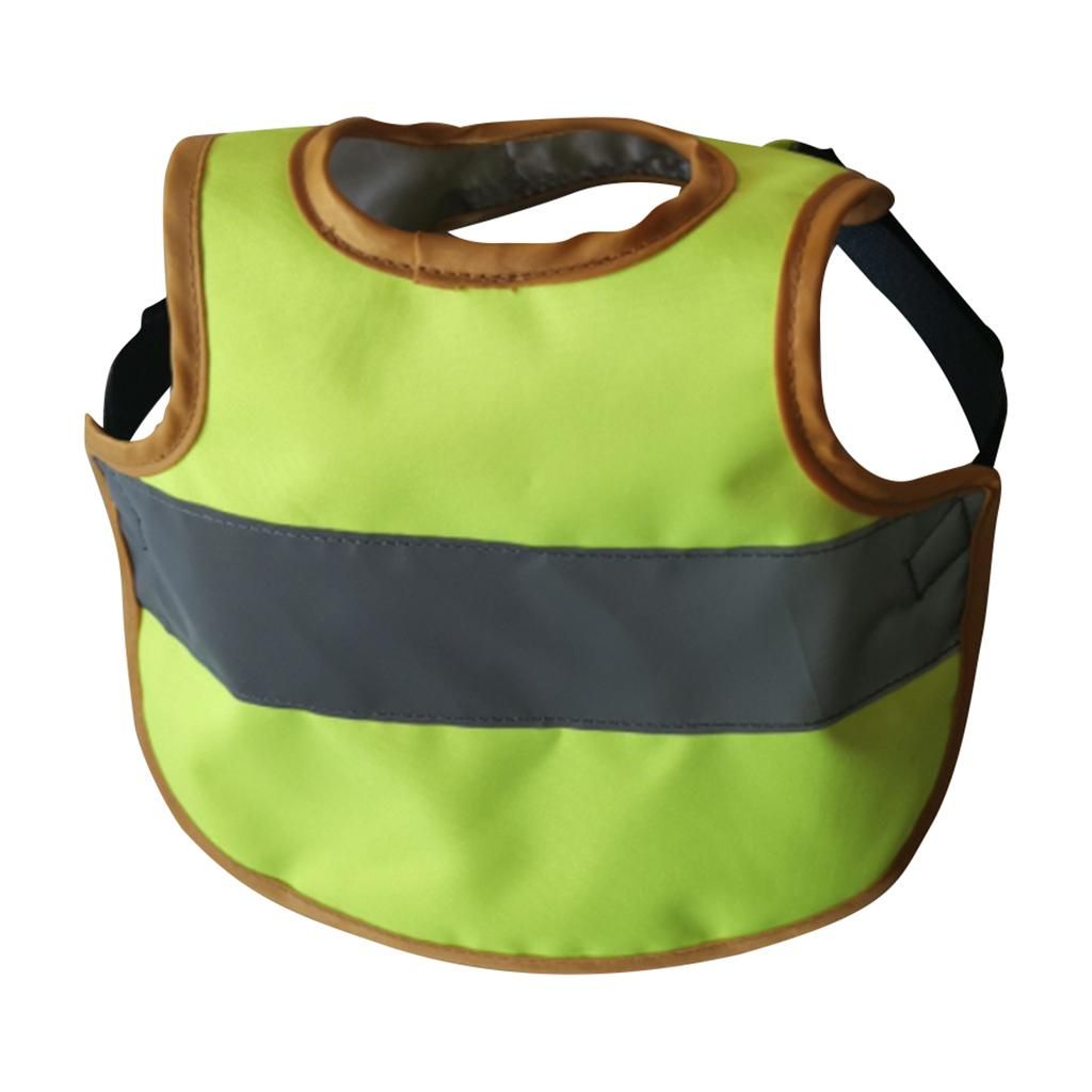 Set Of 3   Vest Chicken  Hen Saddle For  Hen