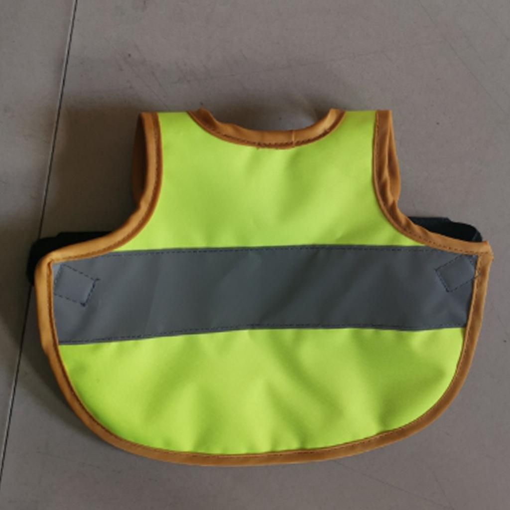 Set Of 3   Vest Chicken  Hen Saddle For  Hen