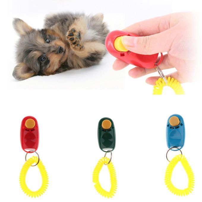 Animal Dog Cat Bird Horse Pet Training Clicker Obedience  + Green