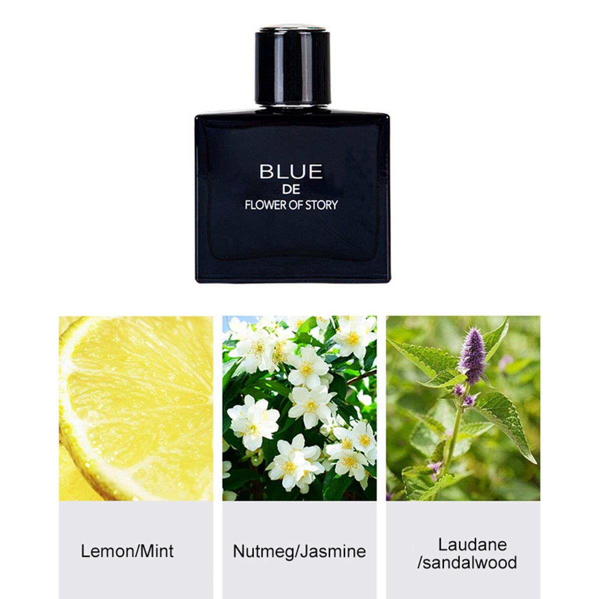 Fresh and long-lasting fragrance for men