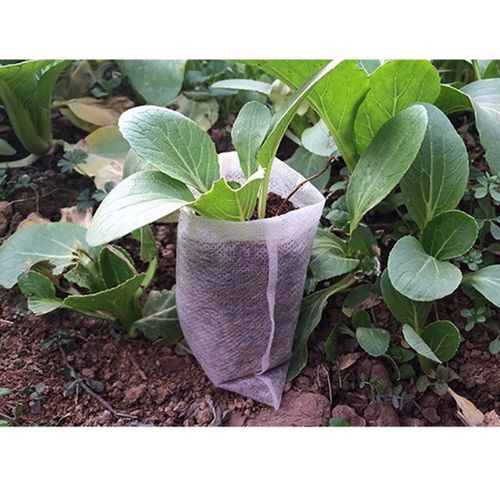 Seedling Raising Bags Garden Supplies Protection Nursery Pots Sizes 8*10cm