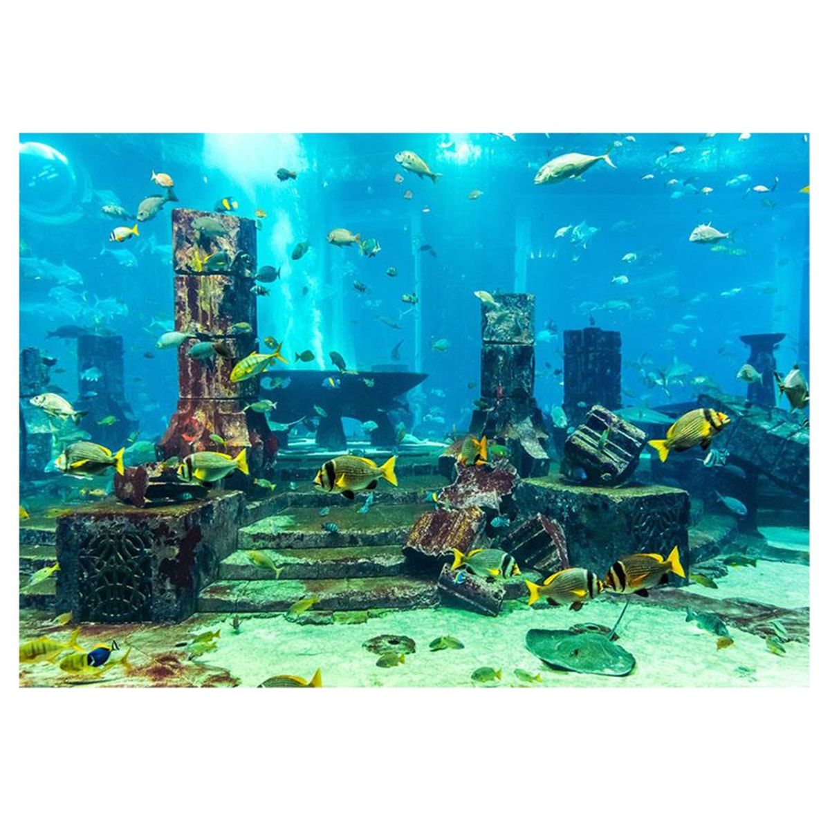 Aquarium Background Poster 3D PVC Adhesive Sticker Fish Tank Underwater World Backdrop Decoration Paperdscape Wallpaper Post Green