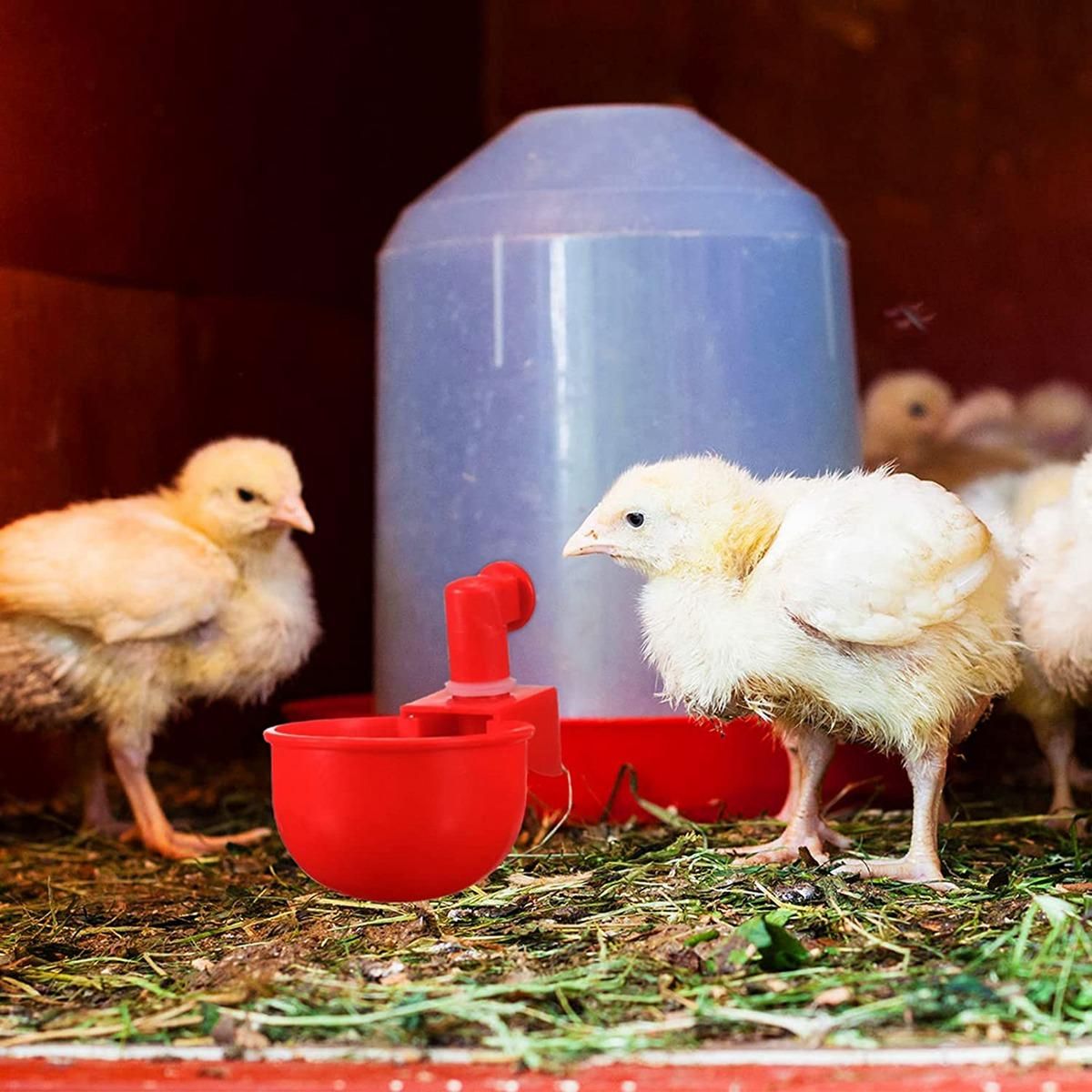 20Pcs Automatic Poultry Drinker Bowl Chicken Water Cups