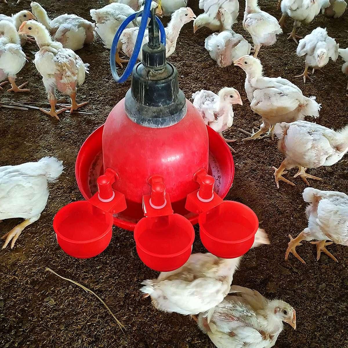 20Pcs Automatic Poultry Drinker Bowl Chicken Water Cups