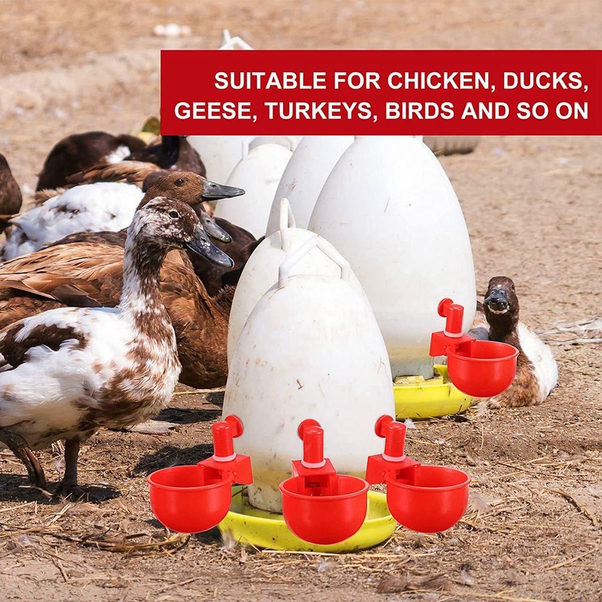 20Pcs Automatic Poultry Drinker Bowl Chicken Water Cups