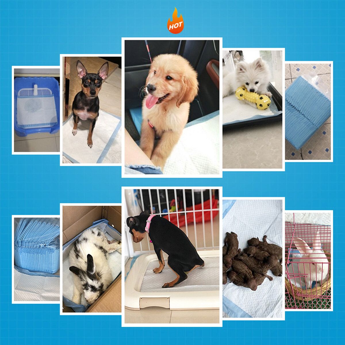60×45CM 50PCS Pet Training Pads Toilet Pee Wee Mats Dog Cat Nappy Diaper