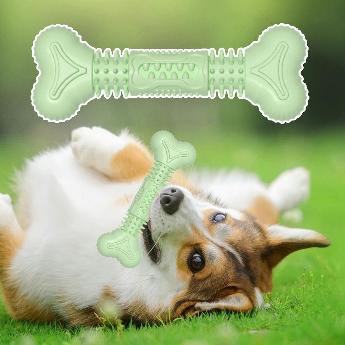 Dog Grinding Toy Cartoon Bone Shape Grinding Toy Green