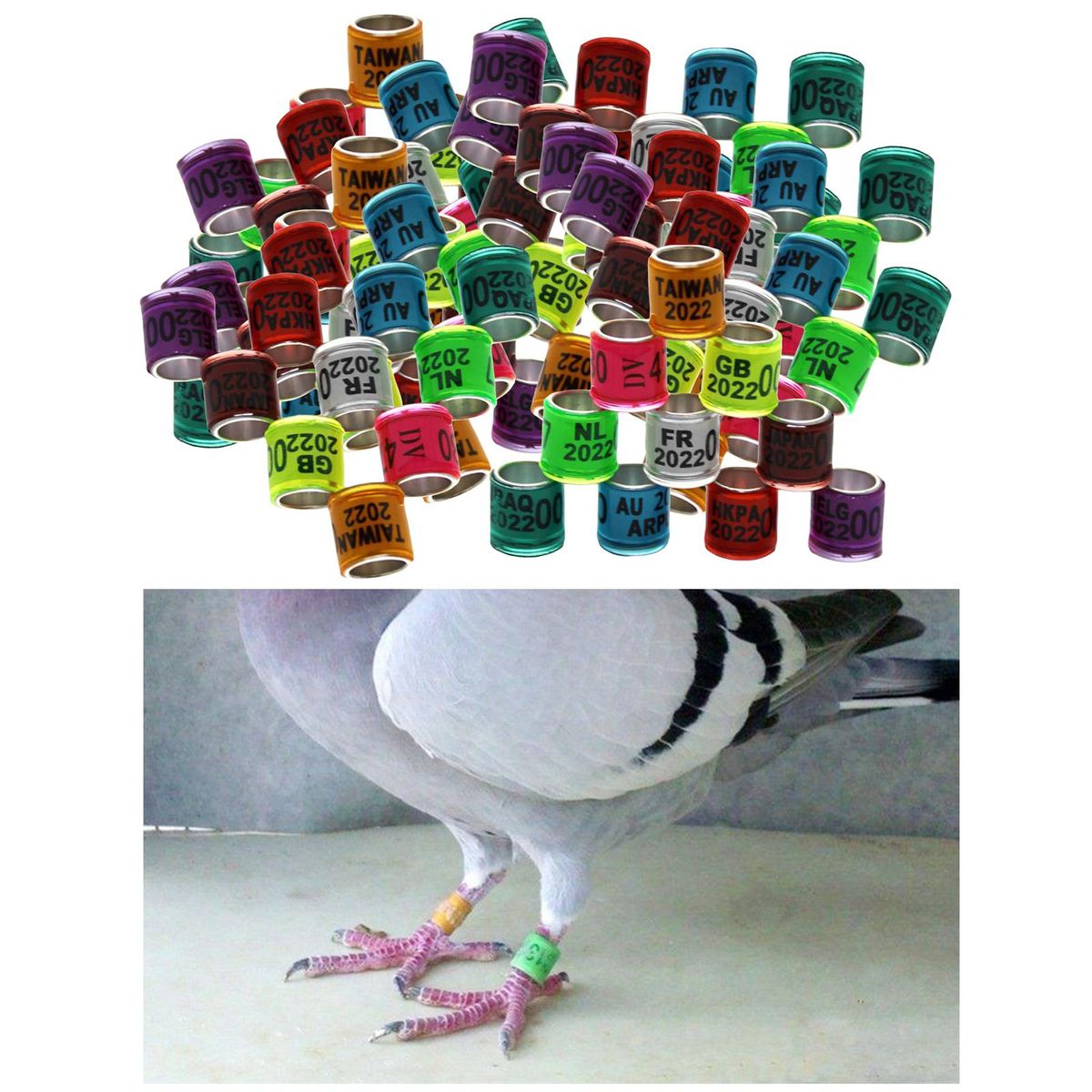 2x 100 Pieces 2022 Aluminium Racing Pigeon Leg Rings Bands 8mm Bright
