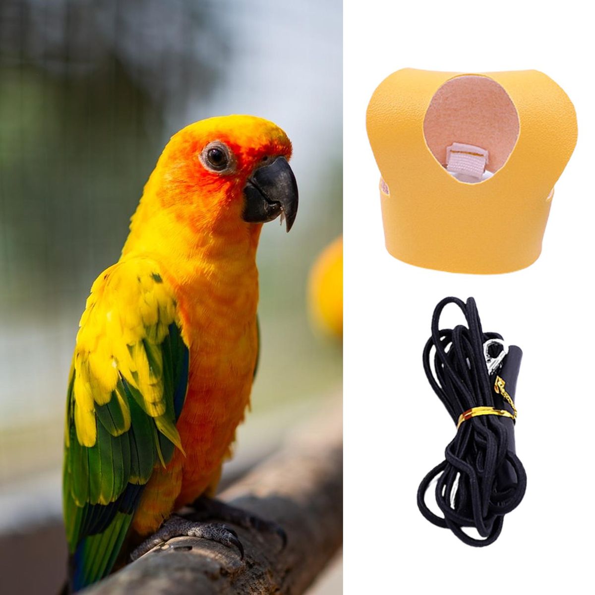 Bird Harness Parrot Bird Harness Leash Flying Rope Yellow
