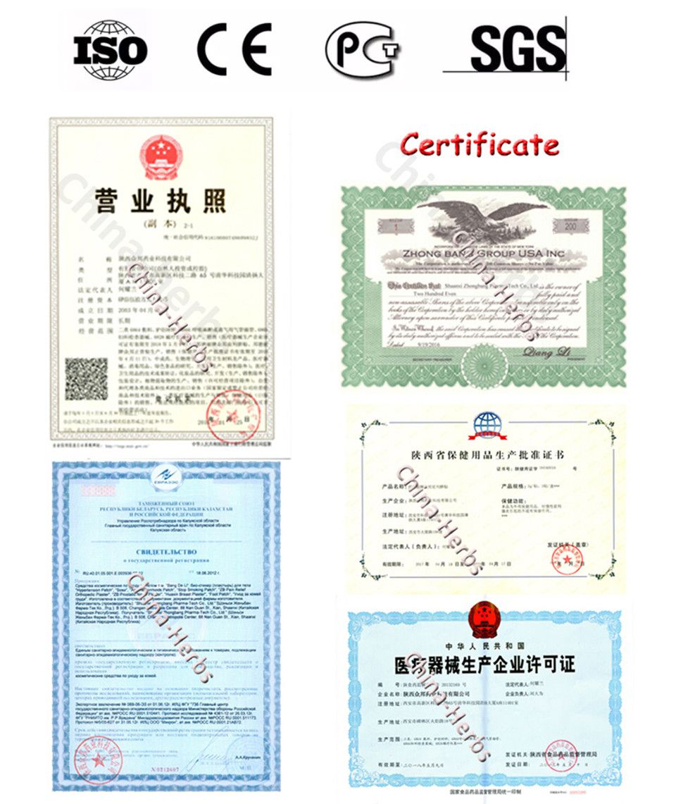 Women Herbal Mastitis Patch Medicine 10 Pain Healing Plaster Pieces Breast Huaxin Patches Care Breast Health Relief Hyperplasia