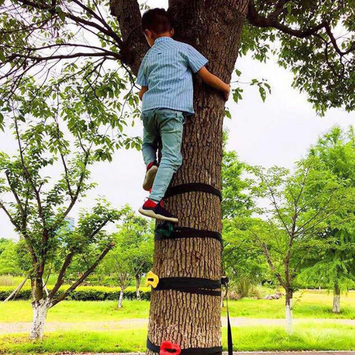 3Pcs Tree Climbing Holds For Kids Climber  Hold