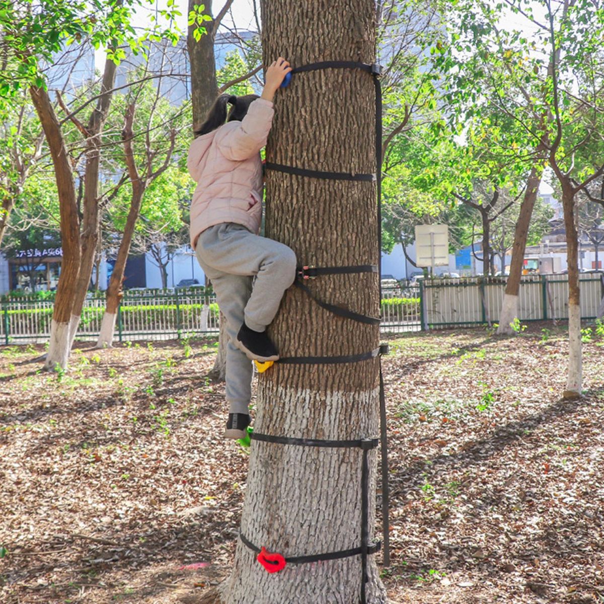 3Pcs Tree Climbing Holds For Kids Climber  Hold