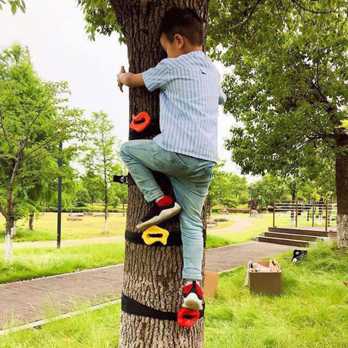 3Pcs Tree Climbing Holds For Kids Climber  Hold