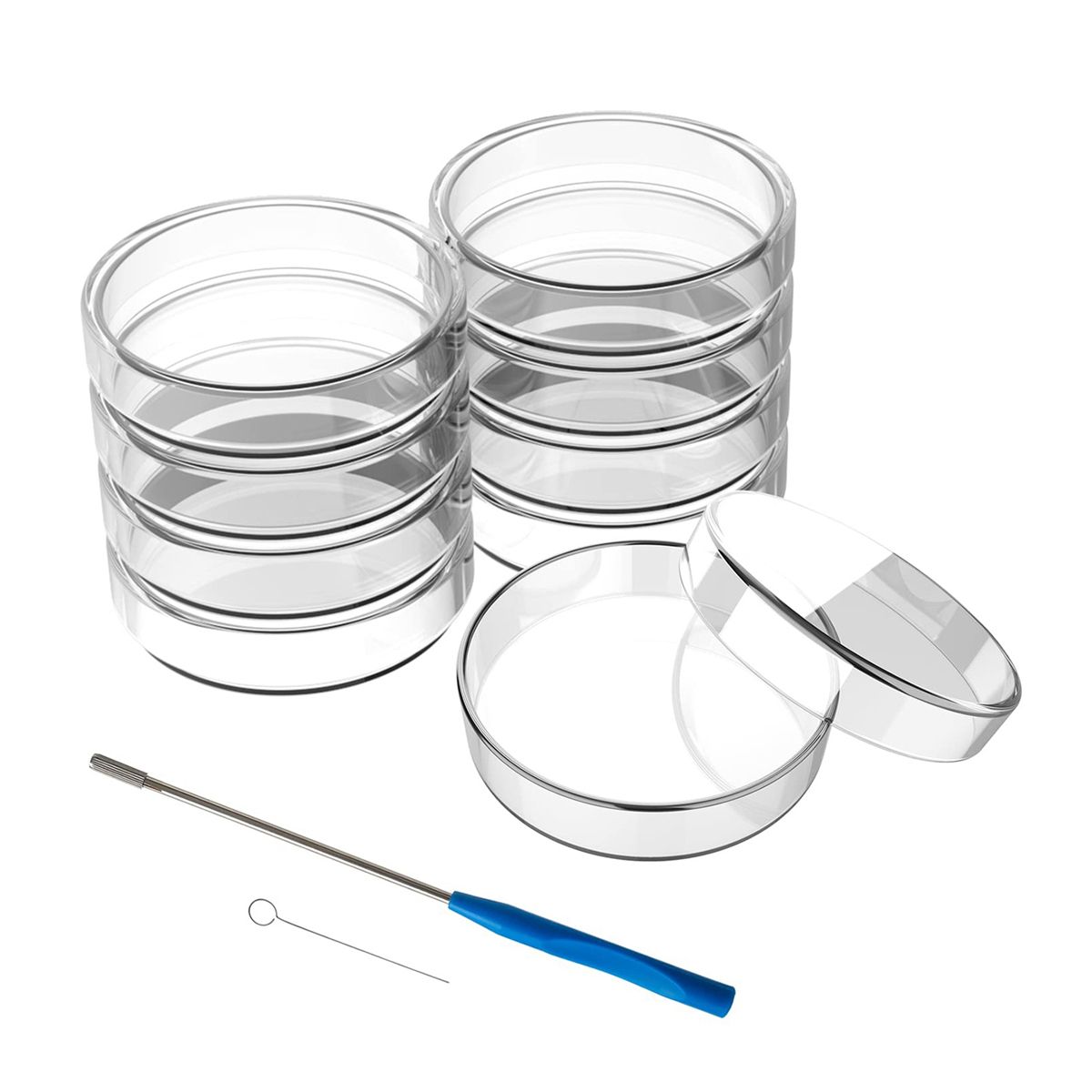 90 mm Glass Dishes 10 Pcs Autoclavable Lab Plates with A Inoculation Loop Autoclavable and Reusable