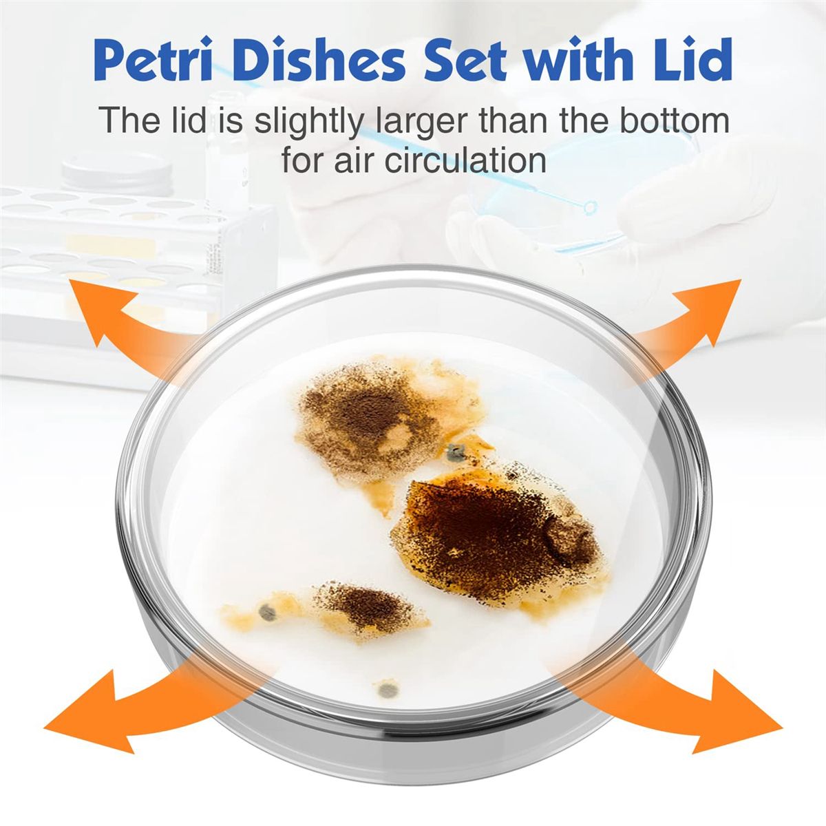 90 mm Glass Dishes 10 Pcs Autoclavable Lab Plates with A Inoculation Loop Autoclavable and Reusable