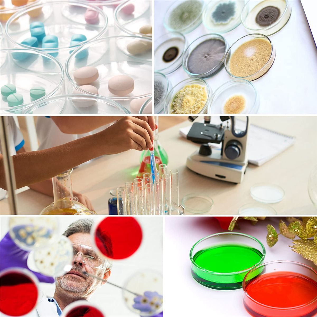 90 mm Glass Dishes 10 Pcs Autoclavable Lab Plates with A Inoculation Loop Autoclavable and Reusable
