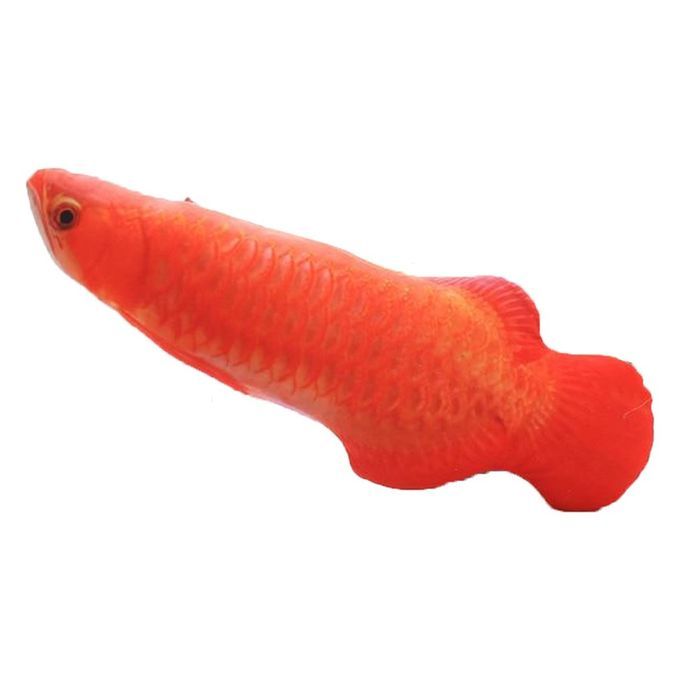 Cat Toy Simulation Fish Pet Plush Mint Funny Stick-Red Arowana-