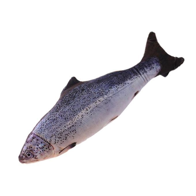 Cat Toy Simulation Fish Pet Plush Mint Funny Stick-Salmon-
