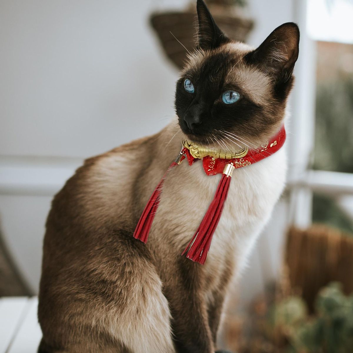 Cute Pet Collar Cat Bow Tie Chinese Tang Puppy Clothing Party Red