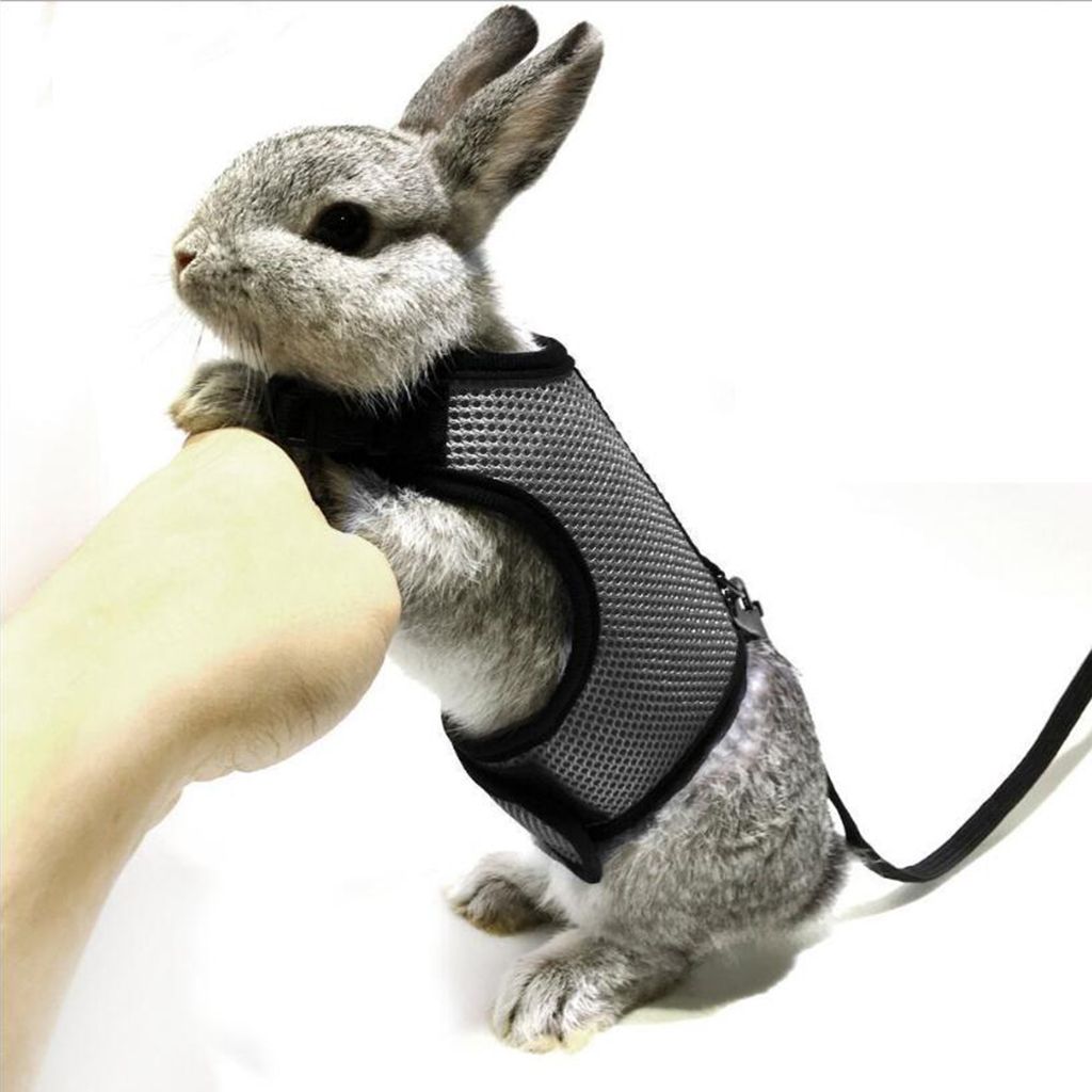 Small Pet Breathable Mesh Harness Leash For Hamsters Rabbits Red S