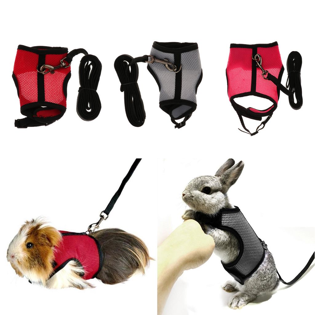 Small Pet Breathable Mesh Harness Leash For Hamsters Rabbits Red S