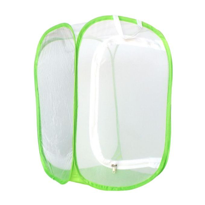 Butterfly Fly Cage Foldable Bug Bag Breathable For Caterpillar Green