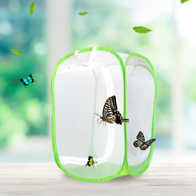 Butterfly Fly Cage Foldable Bug Bag Breathable For Caterpillar Green