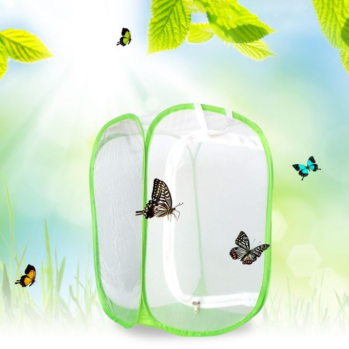 Butterfly Fly Cage Foldable Bug Bag Breathable For Caterpillar Green