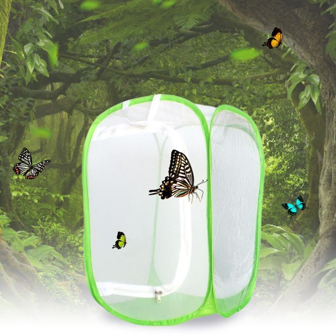 Butterfly Fly Cage Foldable Bug Bag Breathable For Caterpillar Green