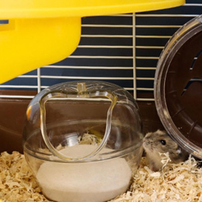 Hamster Bathroom Hamster Itter Box Hamster Toilet For Gerbil Guinea L