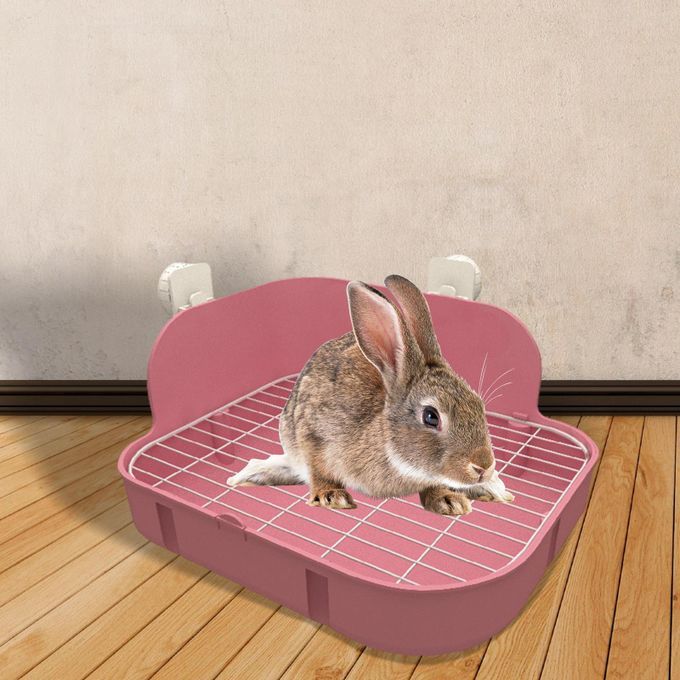 Corner Large Toilet Guinea Pig Rats Small Animal Pink