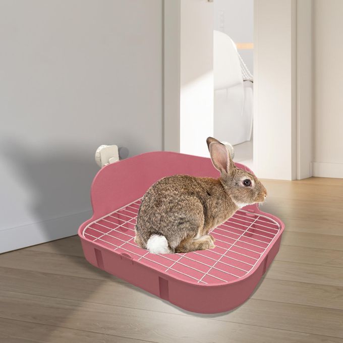 Corner Large Toilet Guinea Pig Rats Small Animal Pink