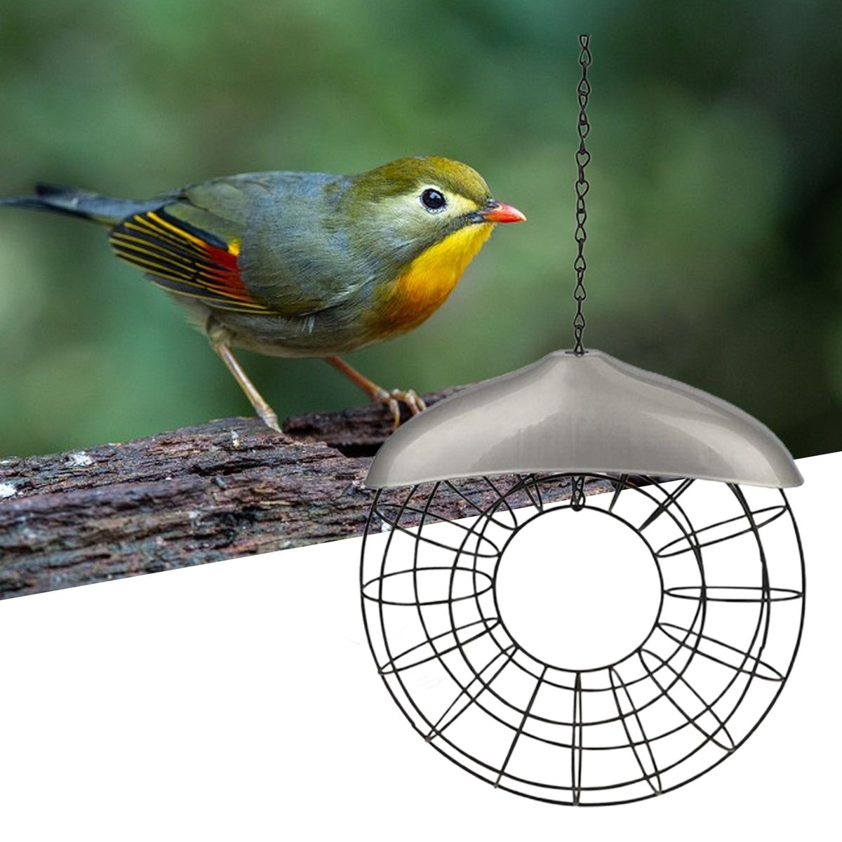 Bird Feeder Platform Easy To Fill Wild Bird Feeder Black