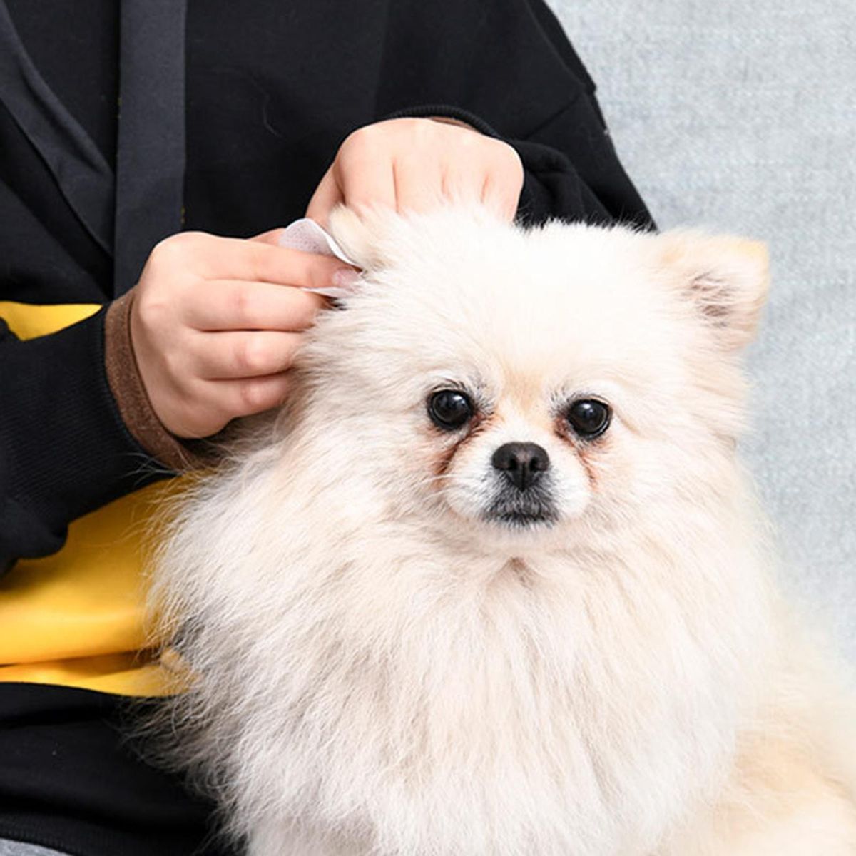 Soft Pet Cleaning  Dog Wet  Grooming Ear 150pcs